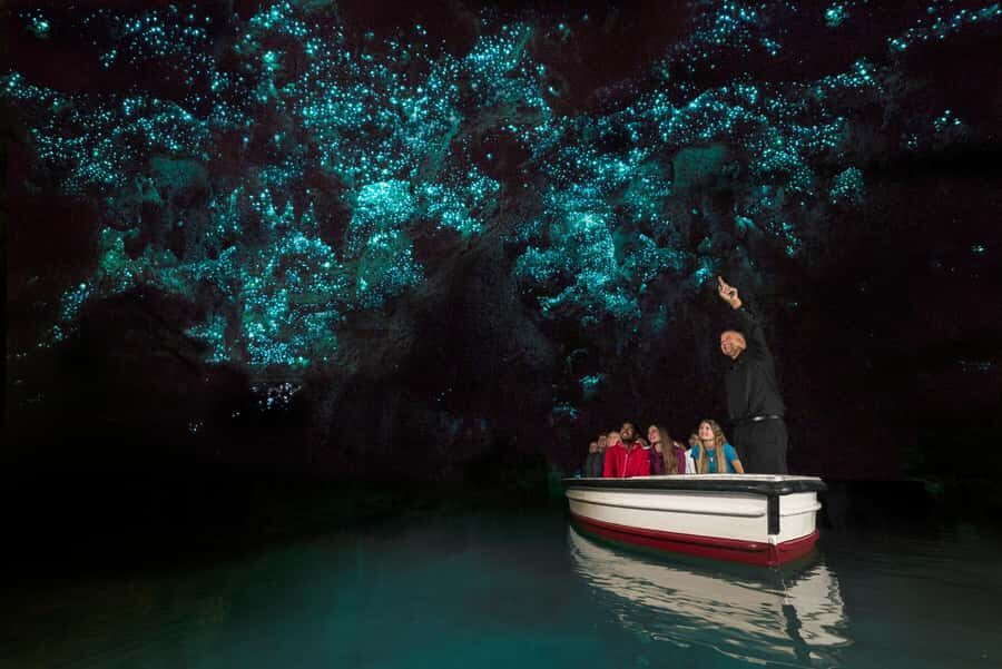 Auckland: Hobbiton & Waitomo Glow Worm Caves Private Tour - FAQ