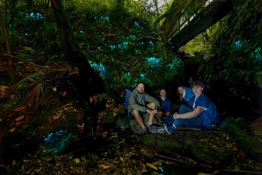 Auckland: Inner-City Glowworm Experience in Ancient Volcano - Meeting at Wintergarden Cafe and how the walk actually starts