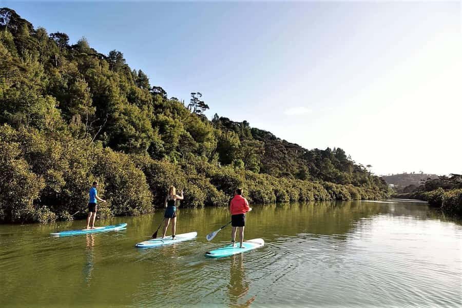 Auckland: Lucas Creek Waterfall SuP Tour - Key highlights before you go