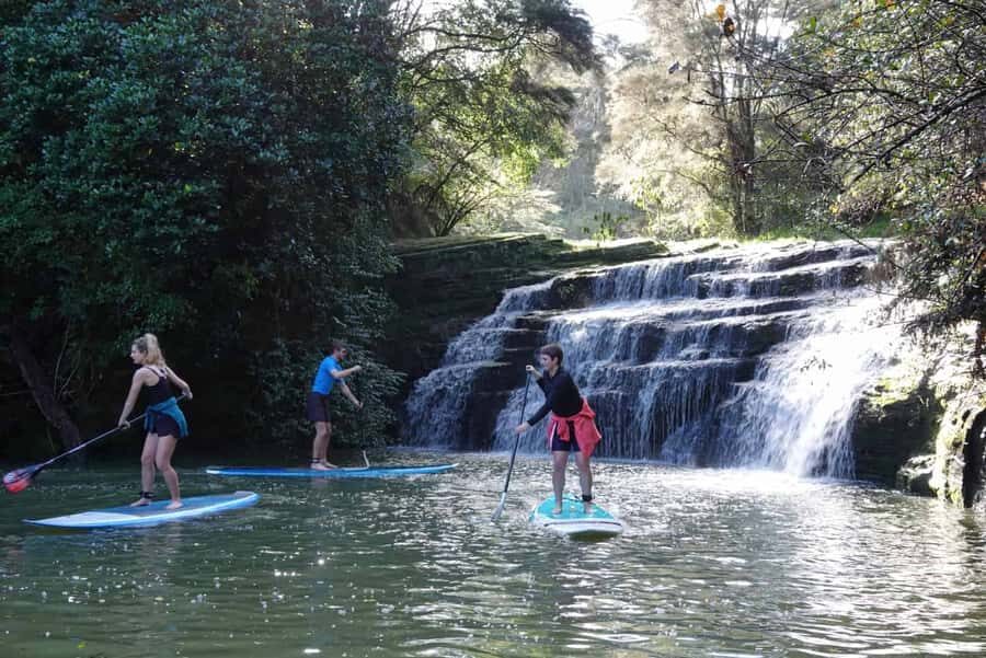 Auckland: Lucas Creek Waterfall SuP Tour - Albany’s calm water: why Lucas Creek is such a great SUP choice
