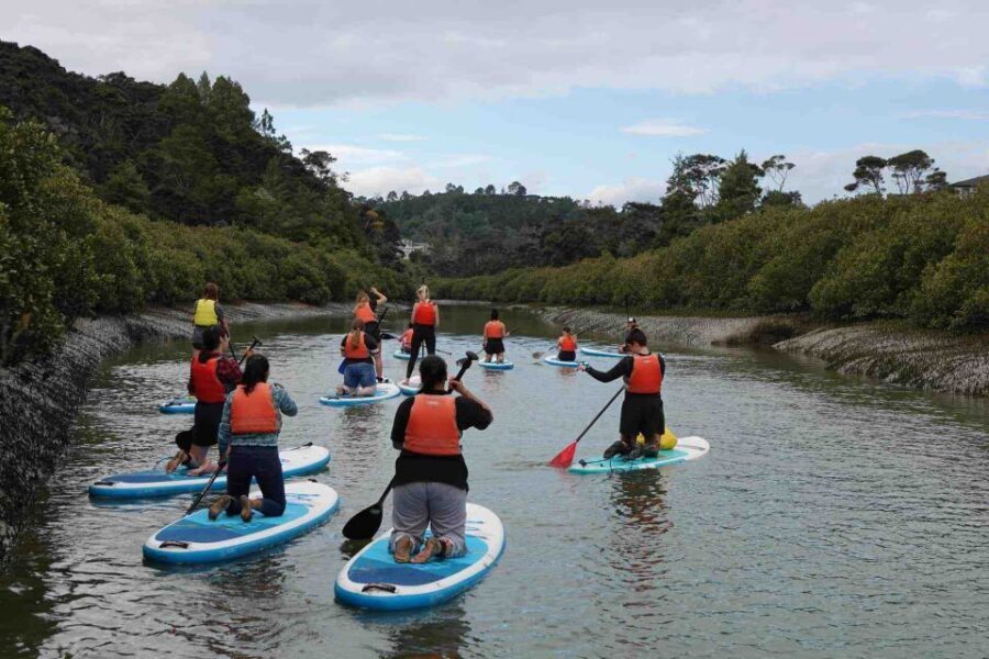 Auckland: Lucas Creek Waterfall SuP Tour - Lucas Creek Waterfall: the 1.5-hour main event