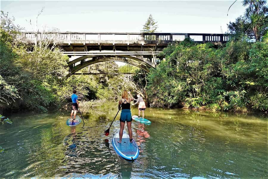 Auckland: Lucas Creek Waterfall SuP Tour - Meet at 31 Wharf Road: how the tour kicks off