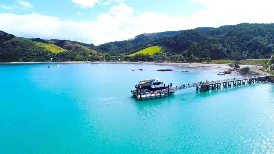 Auckland: Man O' War Vineyard Ferry (Waiheke Island) - Key Highlights