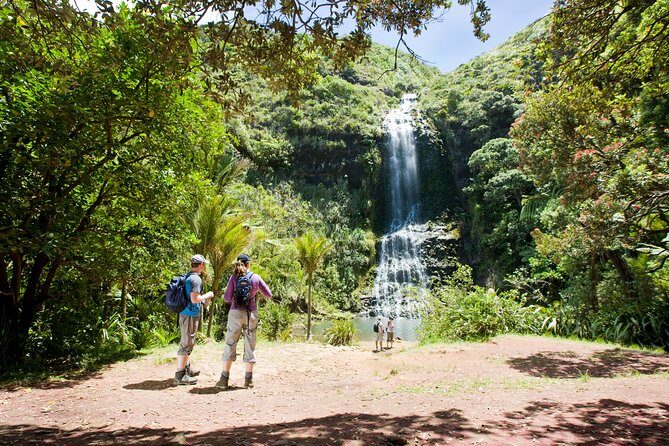Auckland Maori Tour - Why this Māori-guided Auckland tour feels different than a standard sightseeing day