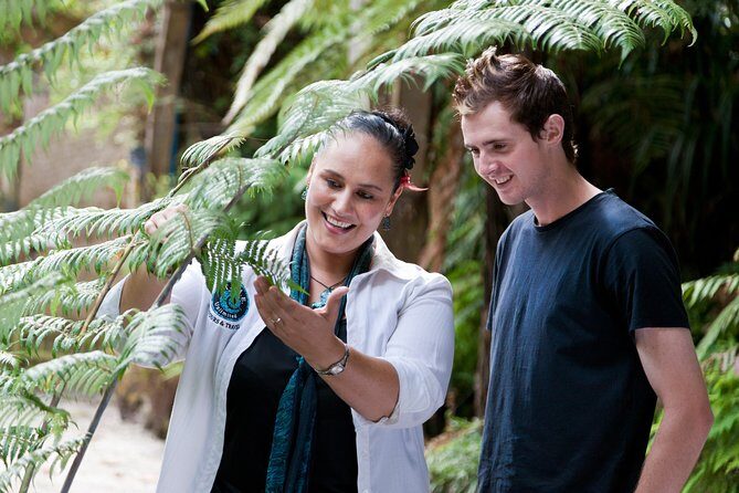 Auckland Maori Tour - Meeting point, pickup, and the “easy button” parts you’ll appreciate