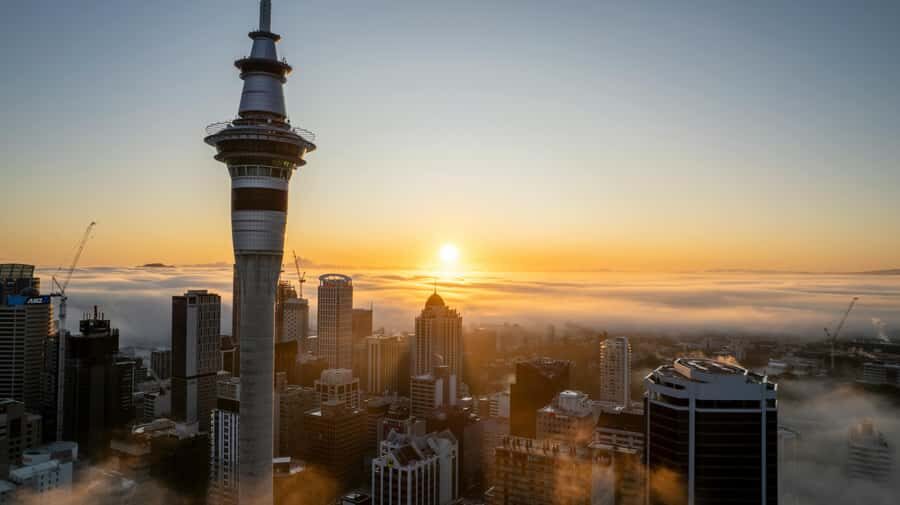 Auckland: Mt. Eden, Piha Beach & Karekare Private Tour - Arataki Visitor Centre: rainforest viewpoints and Māori carvings