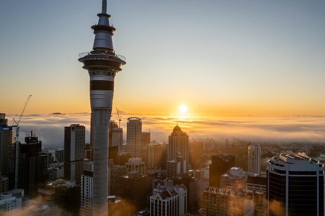 Auckland Museum and Highlight Sightseeing Tour - Highlights You’ll Actually Feel