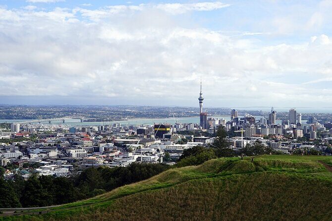 Auckland Museum and Highlight Sightseeing Tour - Getting the Most From Sam’s Guidance