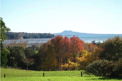 Auckland Nature Tour - Pickup in Auckland CBD: easy start, then you’re off the main drag
