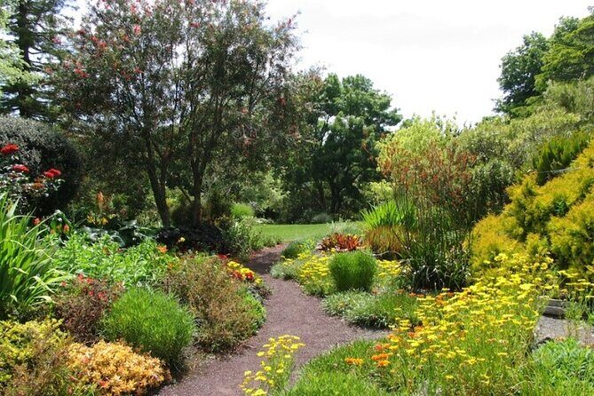 Auckland Nature Tour - Price and what you actually get for $198.58