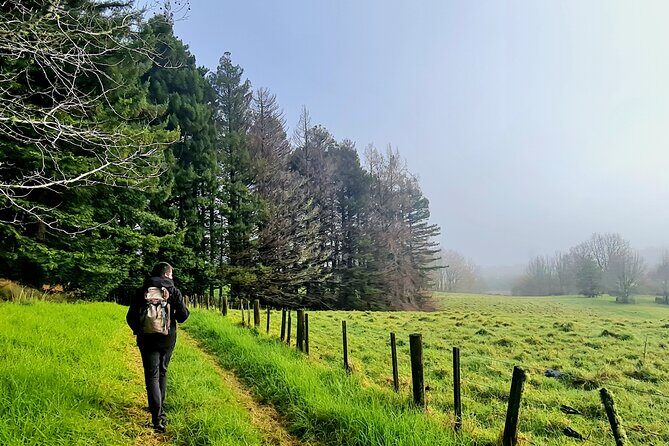 Auckland Nature Tour - Who should book this Auckland nature tour?
