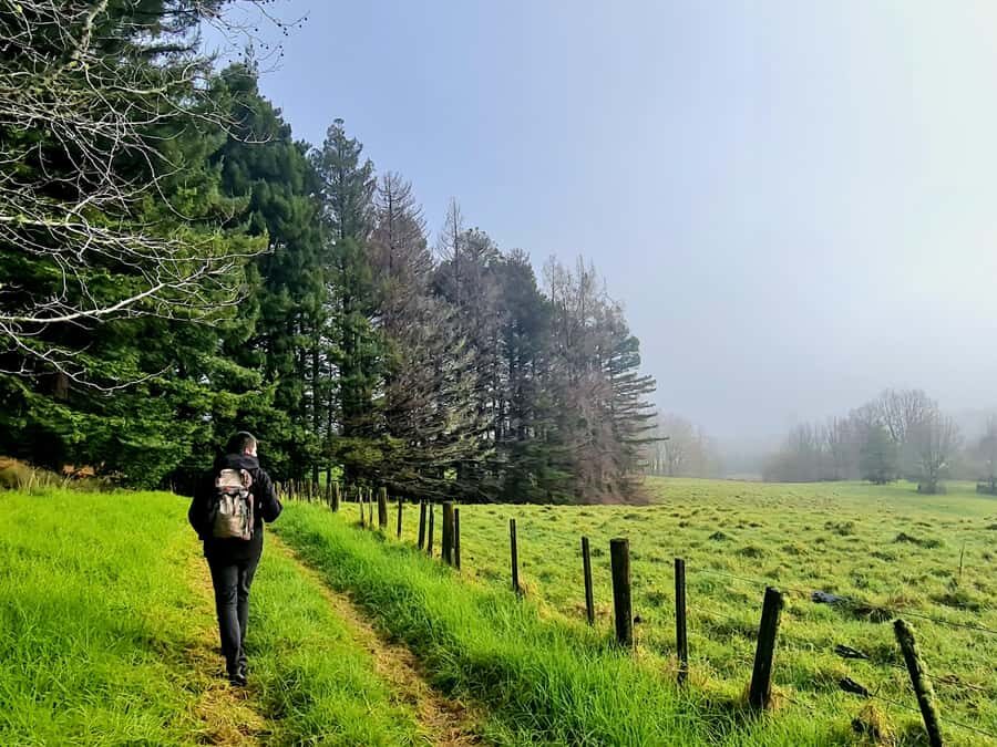 Auckland Nature Tour - Price and logistics: does $191 feel fair?