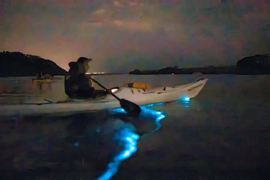 Auckland: Night Kayak Tour in Glowing Bioluminescent Waters - Choosing your starting point: Okura Boat Ramp vs Waiake Beach