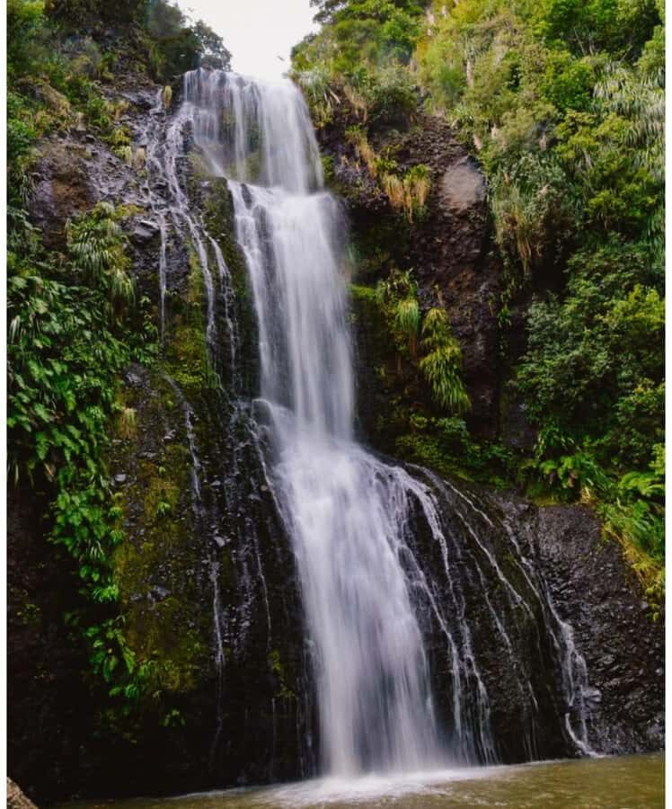 Auckland: Piha Beach, Rainforest, & Mount Eden Private Tour - Private tour value: why $262 can feel like a bargain (if it matches your style)