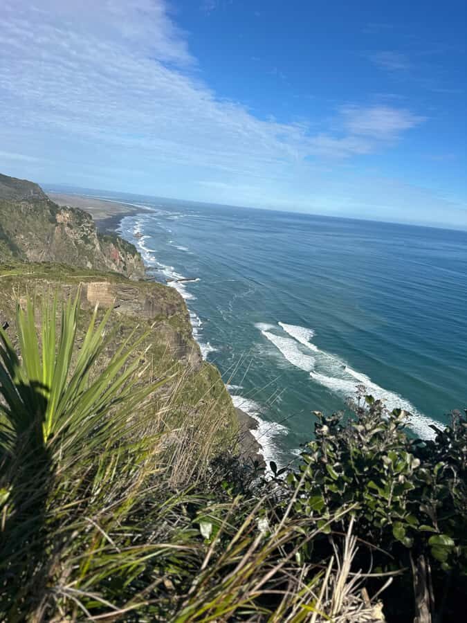 Auckland: Piha Beach, Rainforest, & Mount Eden Private Tour - Who this Auckland half-day tour fits best