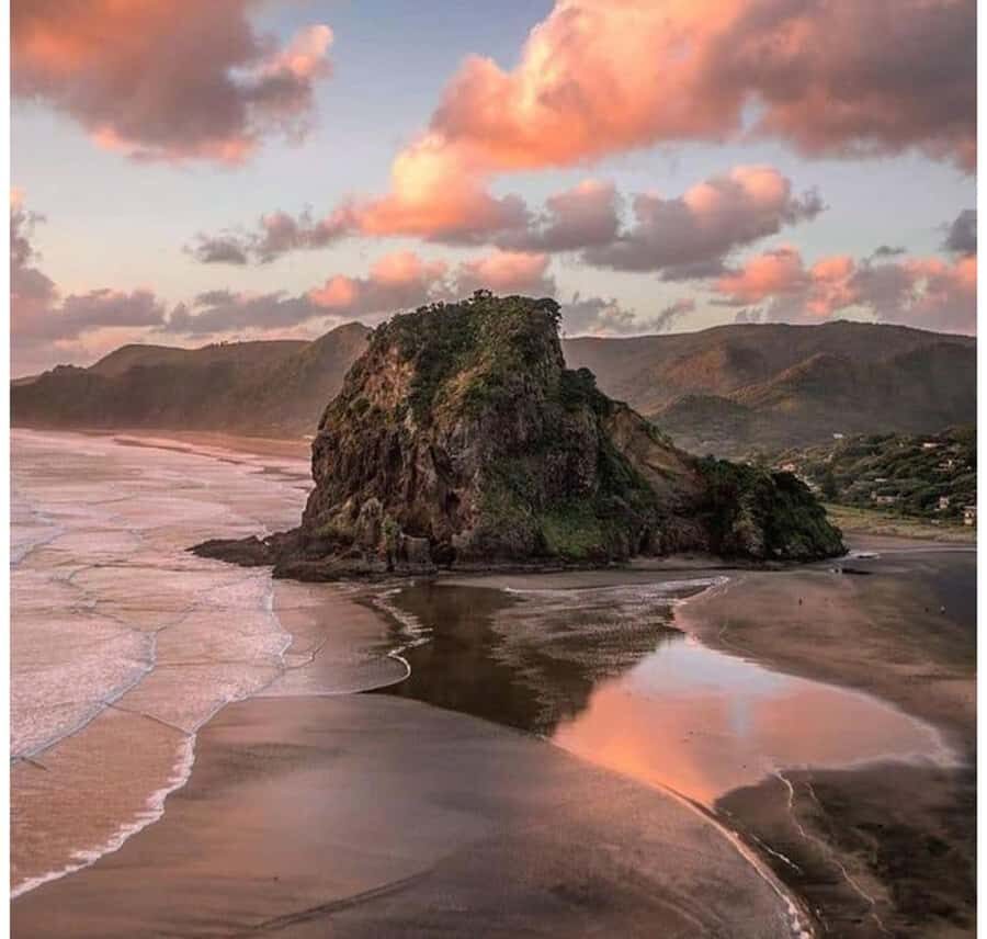 Auckland: Piha Beach, Rainforest, & Mount Eden Private Tour - Arataki Cultural Centre: culture first, before the rainforest walk