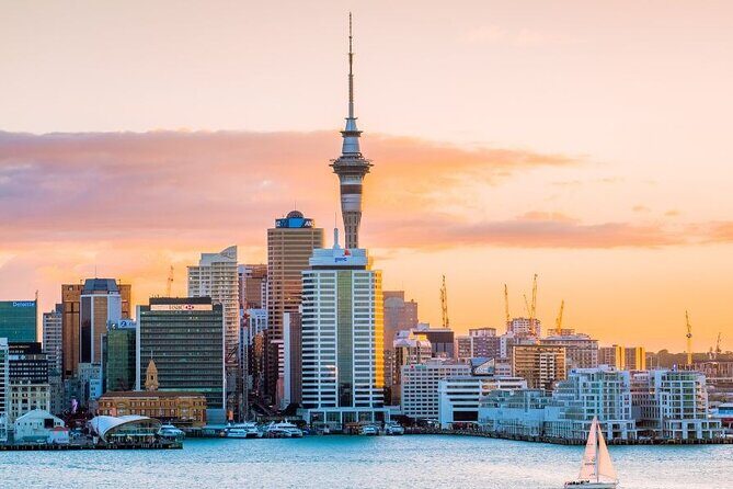 Auckland Private Custom Walking Tour with A Guide (Private Tour) - How the walk plays out: exteriors, museums, markets, and the university vibe