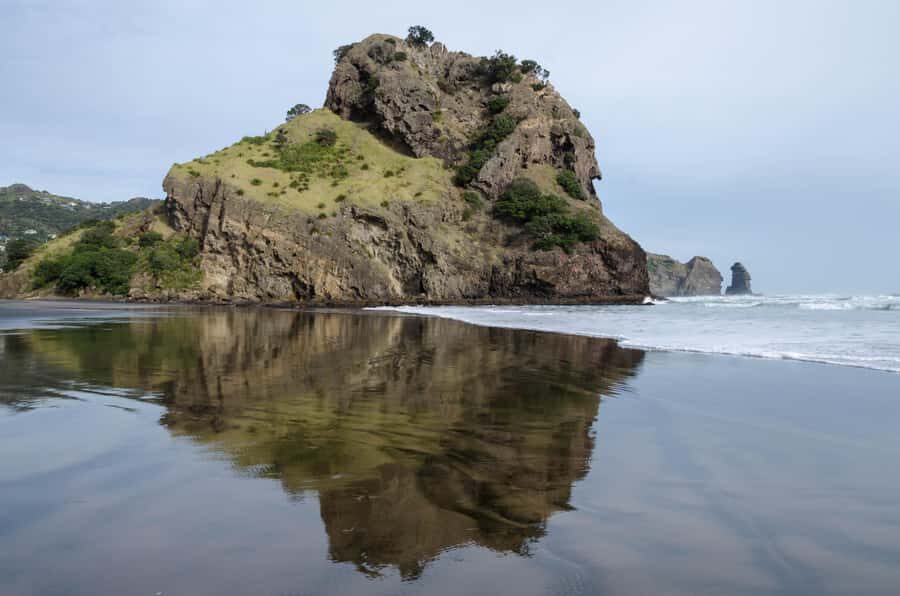 Auckland Private Tour: West Coast Wilderness & Piha Beach - Why the Waitākere West Coast feels like a quick reset