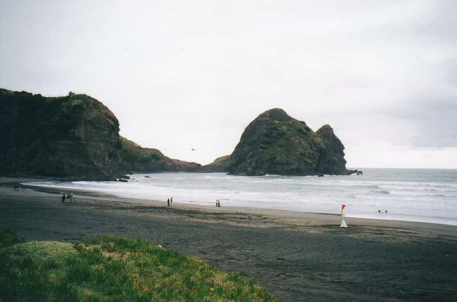 Auckland Private Tour: West Coast Wilderness & Piha Beach - Arataki Visitor Centre: your practical gateway to the Waitākere Ranges