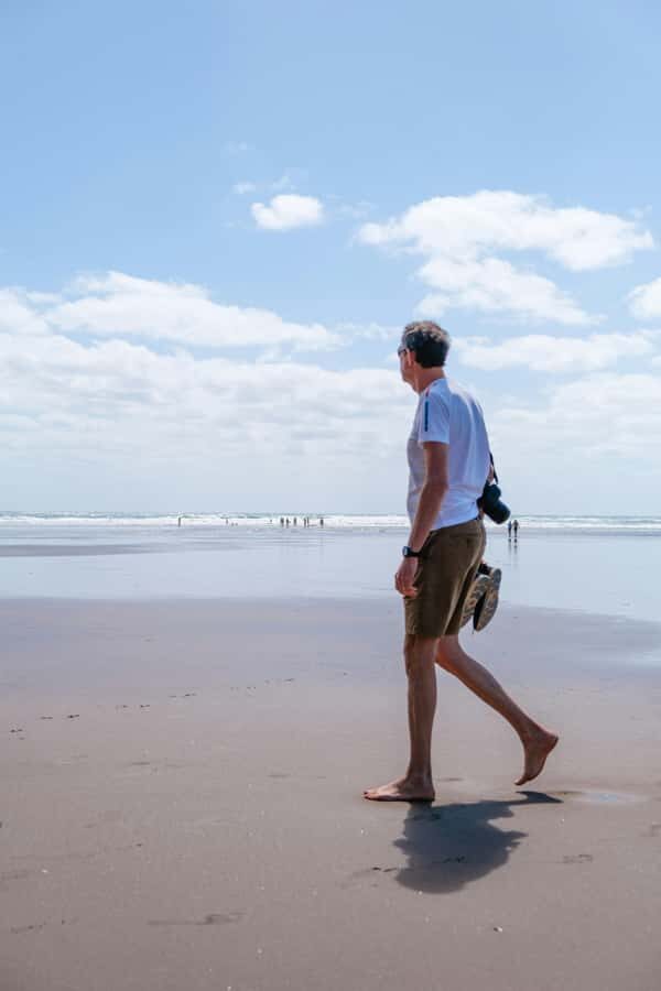 Auckland Private Tour: West Coast Wilderness & Piha Beach - Karekare Waterfall: a shorter walk with bigger payoff