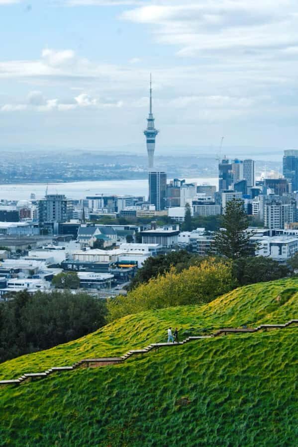Auckland: Private Walking Tour with a Local - Pick-up options at 260 Queen Street or Auckland Domain