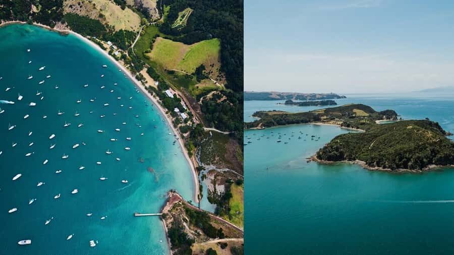Auckland: Rotoroa Island and Man O'War Vineyard Combo Tour - Rotoroa Island: Native Bush Tracks, Wildlife, and Swim-Time Beaches