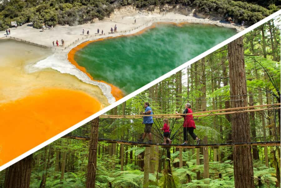 Auckland: Rotorua Highlights w WaiOTapu & Redwoods Treewalk - Key highlights