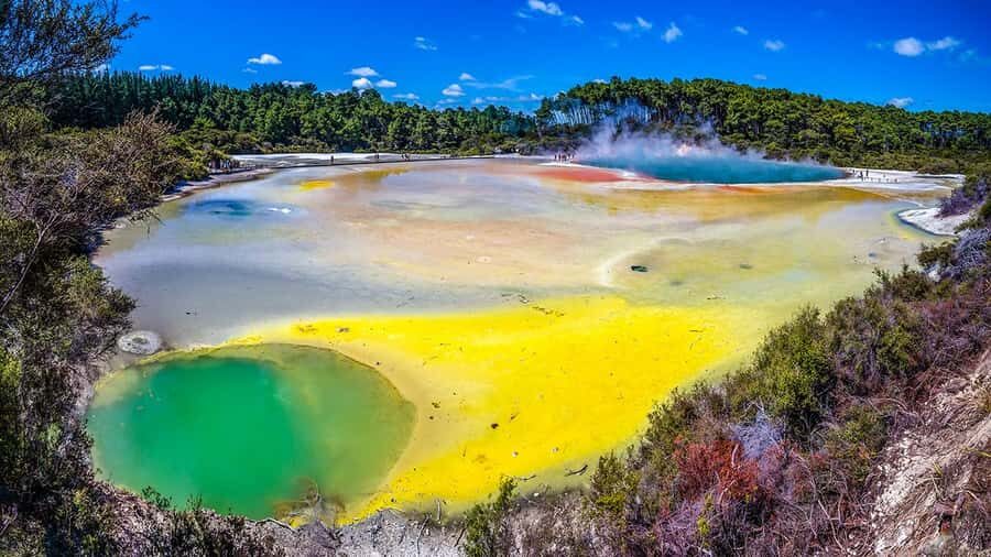 Auckland: Rotorua Highlights w WaiOTapu & Redwoods Treewalk - Rotorua in one day: the pacing that actually feels doable