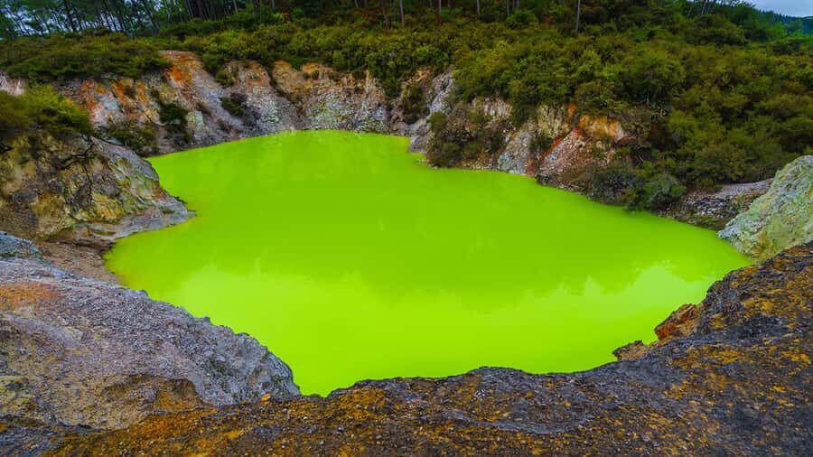 Auckland: Rotorua Highlights w WaiOTapu & Redwoods Treewalk - Guided Rotorua city loop: Lake Rotorua, Rachel Spring, and the Blue Baths