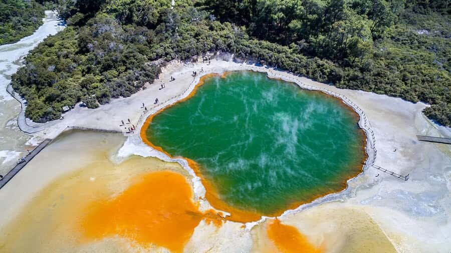Auckland: Rotorua Highlights w WaiOTapu & Redwoods Treewalk - The return to Auckland: guided trip back with extra stops
