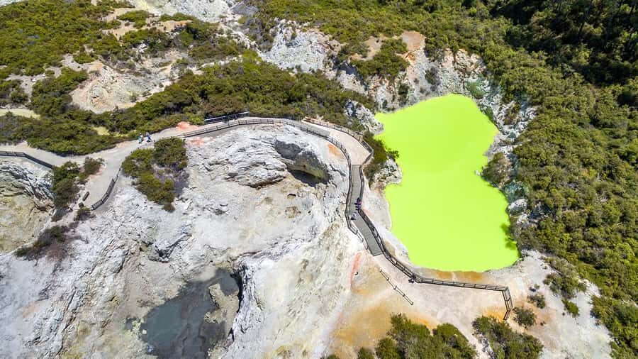 Auckland: Rotorua Highlights w WaiOTapu & Redwoods Treewalk - Waikato road trip: coffee stops, farm animals, and Tirau’s corrugated iron