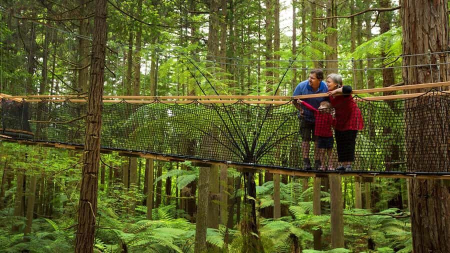 Auckland: Rotorua Highlights with Redwoods Treewalk & Spa - Price and Value: Why $170 Can Make Sense