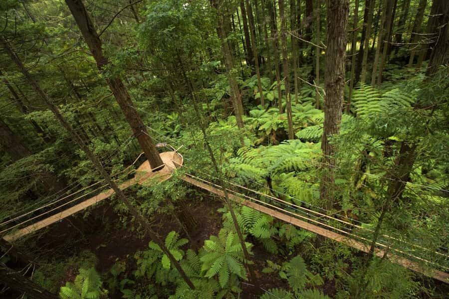 Auckland: Rotorua Highlights with Redwoods Treewalk & Spa - Arriving in Rotorua: The Guided Driving Tour That Gets Your Bearings