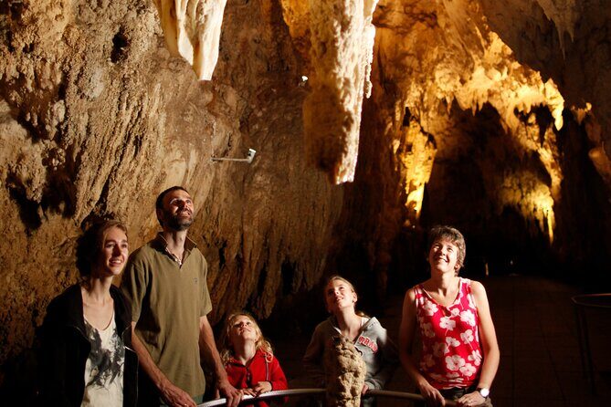 Auckland: Rotorua Māori Village, Waitomo Caves & Lunch - Group size and guides: what small groups do right
