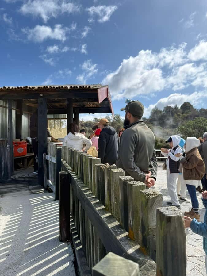Auckland: Rotorua Māori Village & Waitomo Caves with Lunch - Waitomo Glowworm Caves: the boat ride that makes the darkness glow