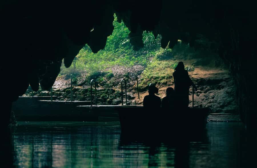 Auckland: Rotorua Māori Village & Waitomo Caves with Lunch - Picnic-style lunch: fueling without breaking the day
