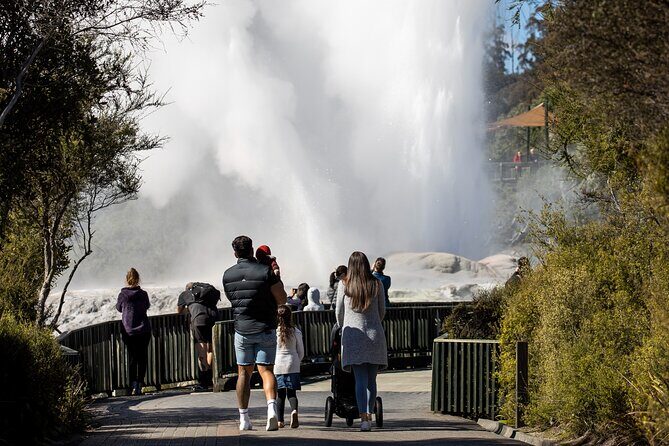 Auckland: Rotorua Te Puia with Haka & Polynesian Spa Small Group - Quick hits before you go