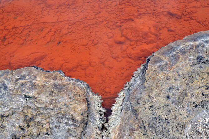 Auckland: Rotorua Tour with Waiotapu, Te Puia and Maori Haka - Who should book this tour (and who might not)