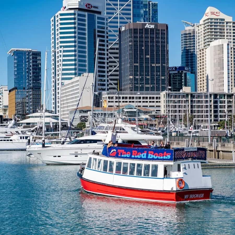 Auckland: Scenic Harbour Cruise with Live Commentary - Who This Cruise Is Best For