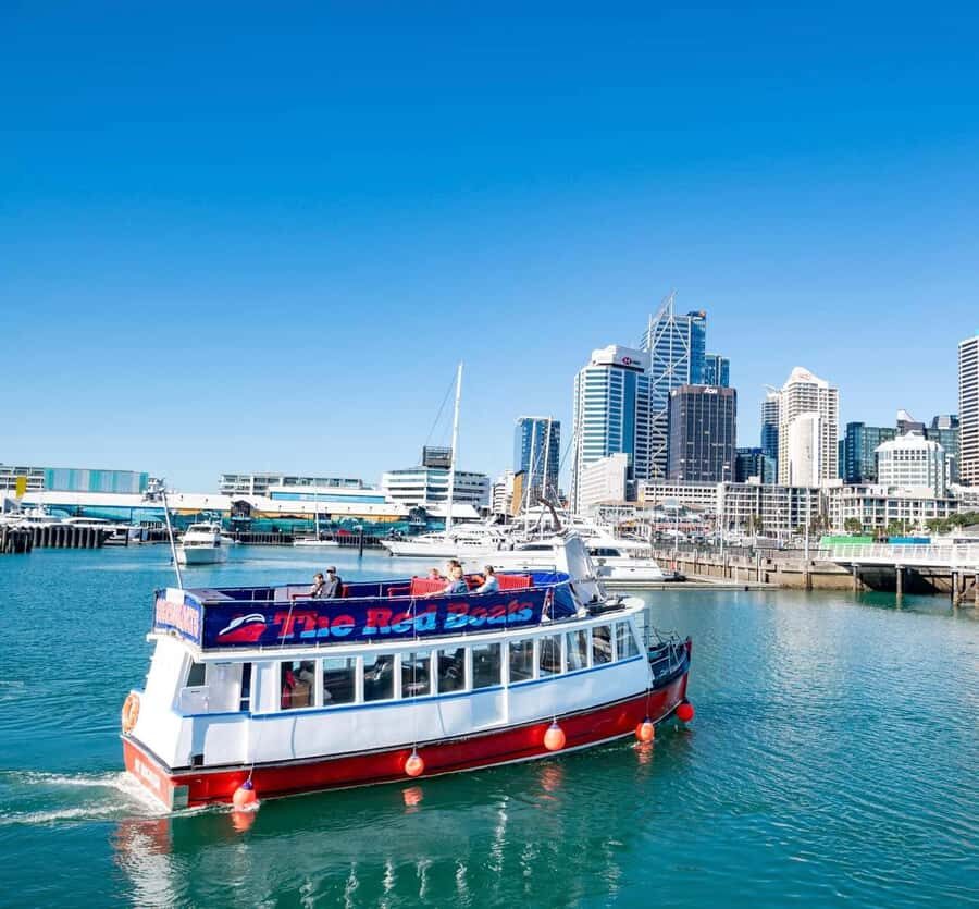 Auckland: Scenic Wine and Cheese Harbour Cruise - Who Should Book This Cruise (and Who Might Skip It)