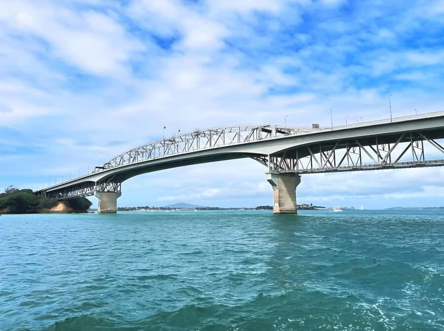 Auckland: Scenic Wine and Cheese Harbour Cruise - Cheese and Charcuterie With NZ Wine or Beer: What the Included Meal Gets Right
