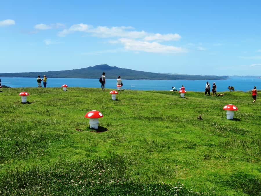 Auckland: Segway Tour to Mount Victoria - First You Learn the Segway, Then You Actually Ride