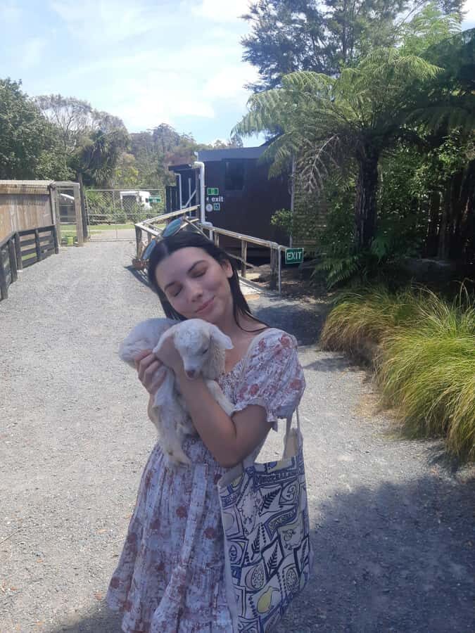 Auckland: Sheepworld, Honey Centre, & Kauri Trail Tour - Key highlights you’ll actually remember