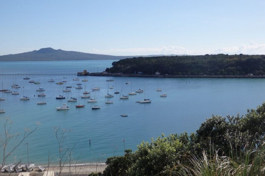 Auckland: Ship to Shore Full-Day Excursion - Value and timing: does $128 make sense for an 8-hour day?