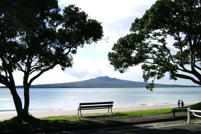 Auckland Shore Excursion: Half-Day Guided City Tour - Who this Auckland shore excursion suits best