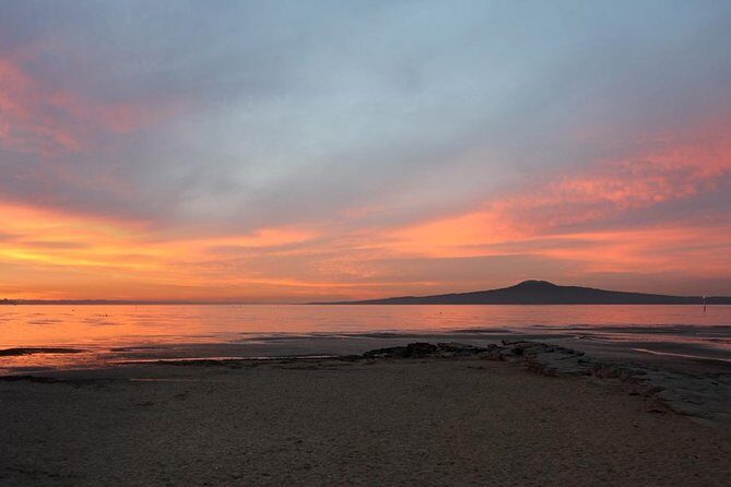 Auckland Sights Exclusive 4 Hour Luxury Day Tour - Mission Bay and St. Helier’s Bay: beach towns with an easy food fallback