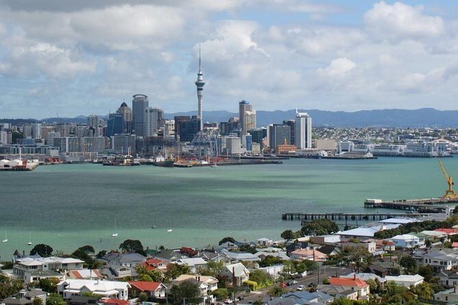 Auckland Sights Exclusive 8 Hour Luxury Day Tour - Price and Value: What $260.64 Buys You