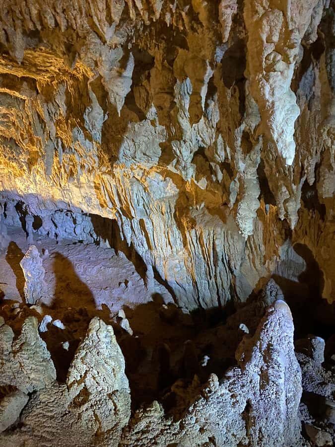 Auckland: Spellbound Glowworm Caves Explorer Tour - Key Things That Make This Tour Worth Your Day