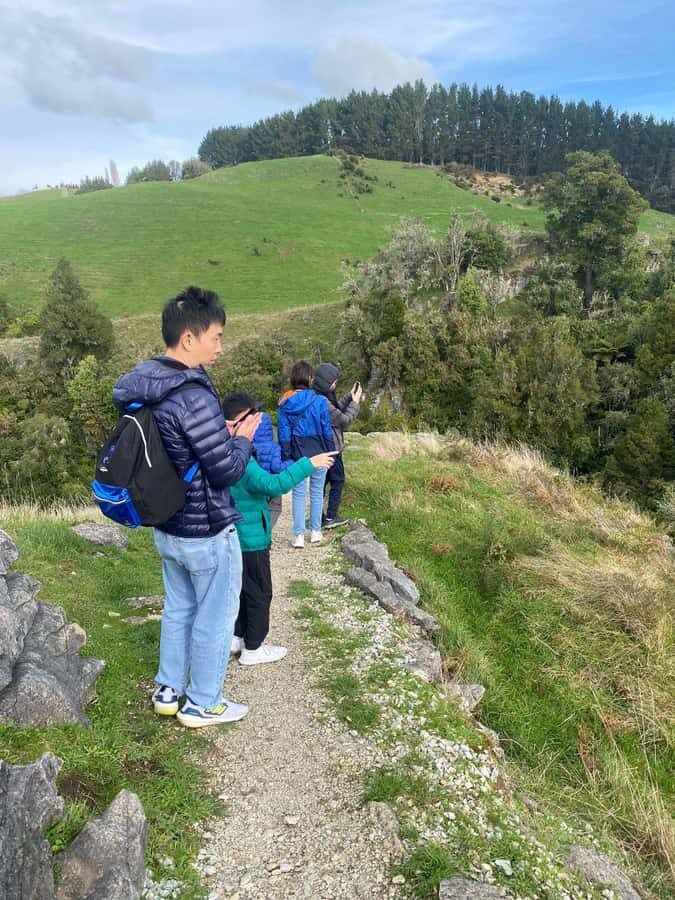 Auckland: Spellbound Glowworm Caves Explorer Tour - Otorohanga Break: Lunch Plans You Should Think About