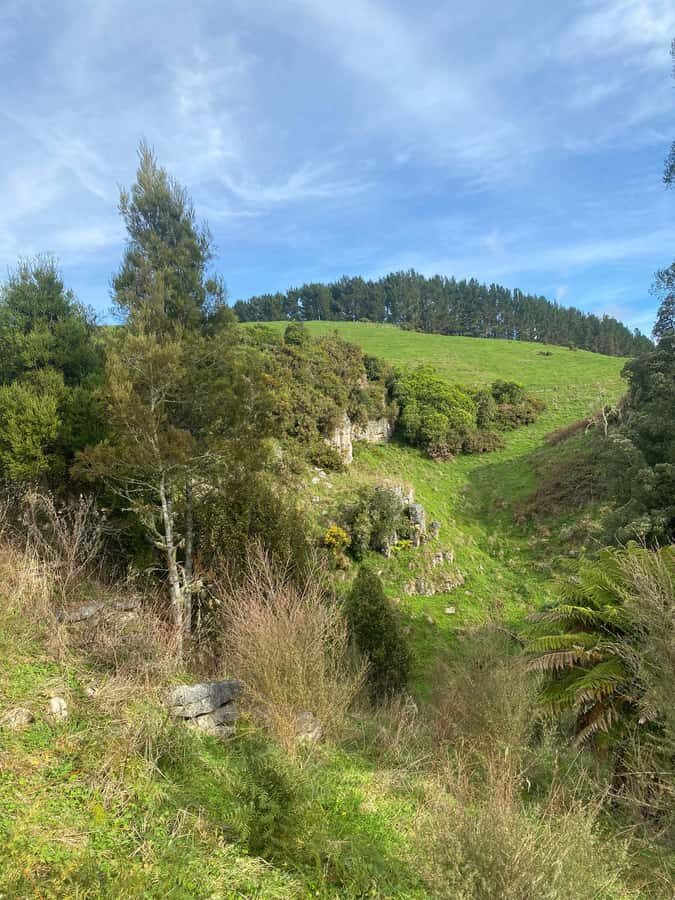 Auckland: Spellbound Glowworm Caves Explorer Tour - Photo and Clothing Tips That Actually Make a Difference